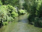 Bild 13