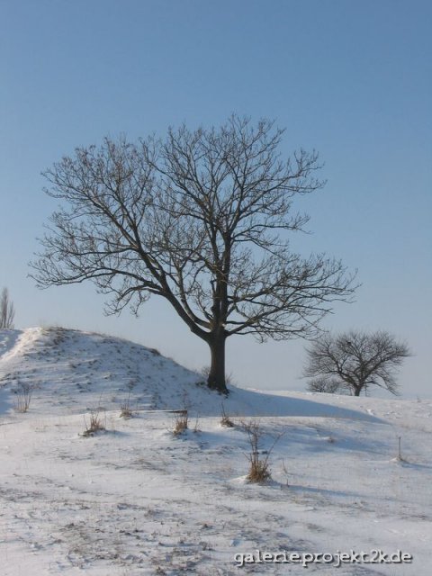 Bild_11