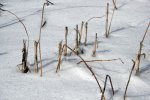 Bild 05